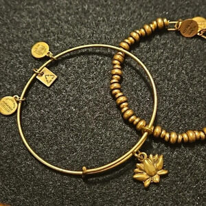 Alex and Ani Lotus Blossom bangle charm‎ bracelet + beaded bracelet